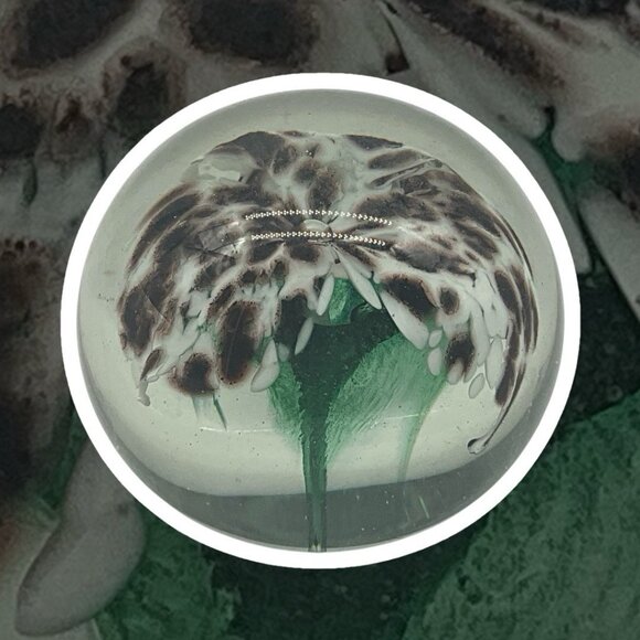 Hand Blown Glass Paperweight by The Glass Eye 1985 Etched Signed Floral Interior - Picture 3 of 16